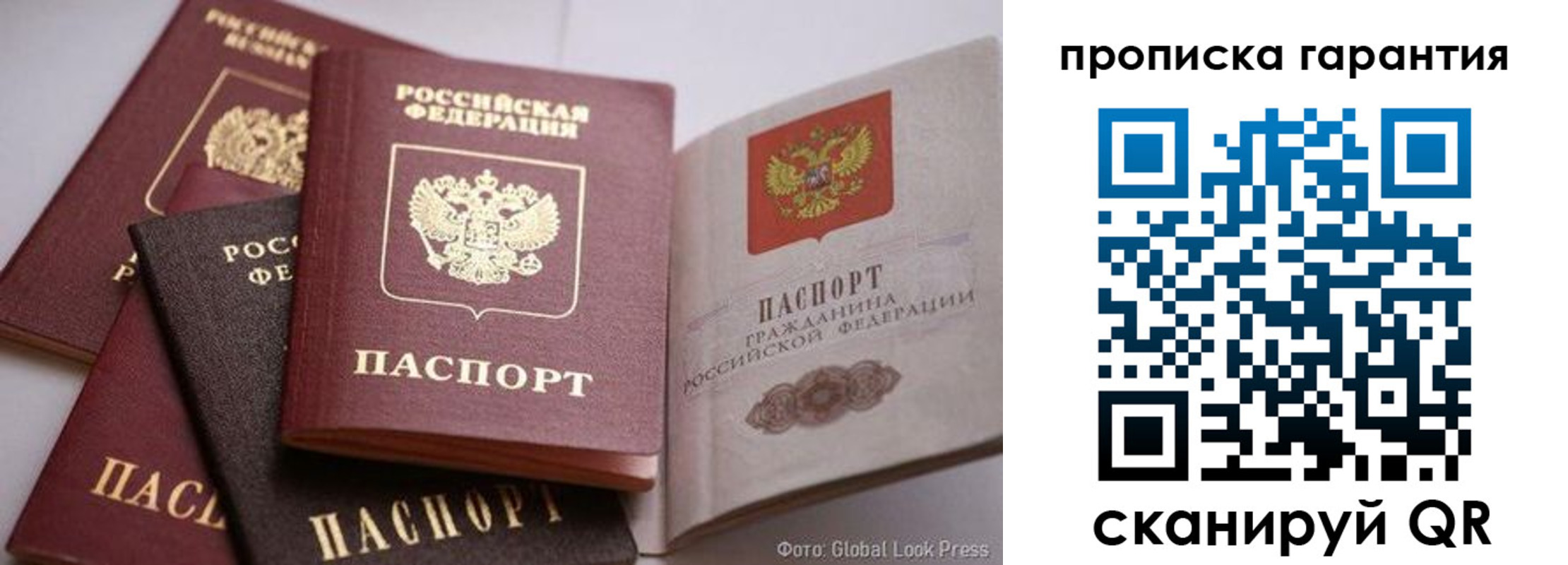 прописка для школы в Александрове